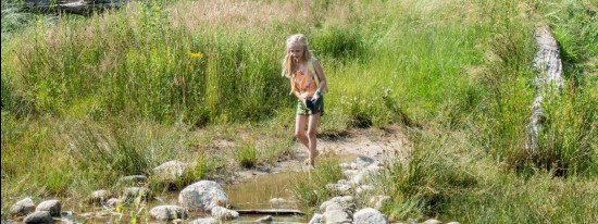 impression-mobile-img-1